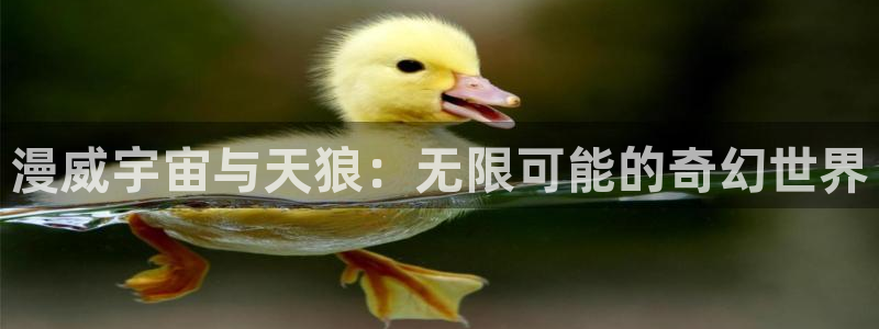 复仇者联盟4星辰影院