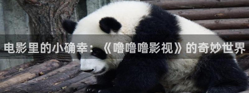 x星辰影院：电影里的小确幸：《噜噜噜影视》的奇妙世界