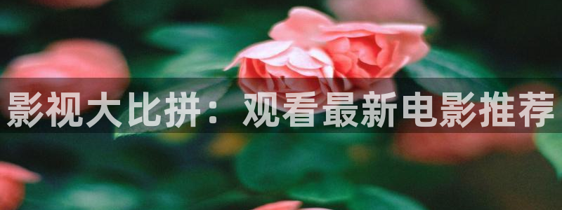 星辰影院免费影院：影视大比拼：观看最新电影推荐