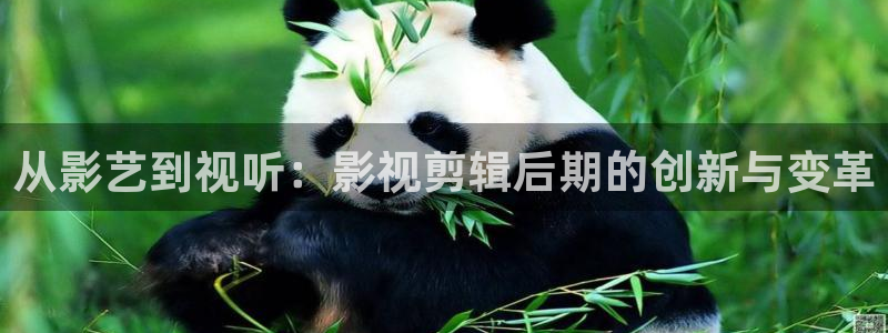 去有风的地方免费观看星辰影院：从影艺到视听：影视剪辑后期的创新与变革